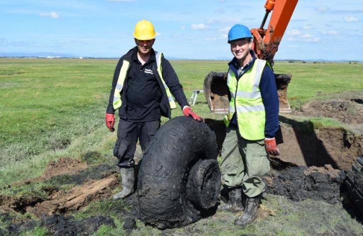 20638677_10155437665937936_9133875486890340156_n