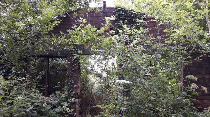 48368707_1977333022385995_8725953440305381376_n