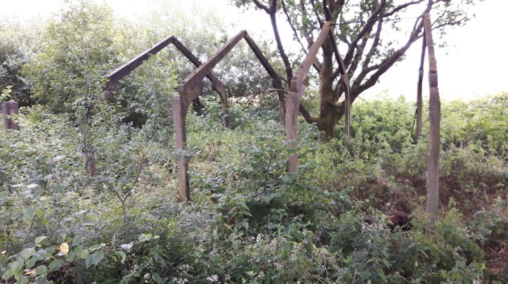 48394124_297063657580976_7229037976213258240_n